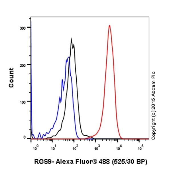 Anti-RGS9 antibody [EPR2873] - BSA and Azide free(AB247728)
