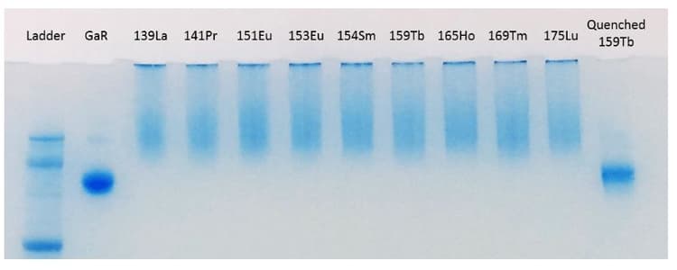 154Sm Metal Conjugation Kit - Lightning-Link®(AB269837)
