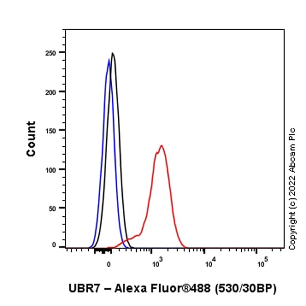 Anti-UBR7 antibody [EPR26170-67]
