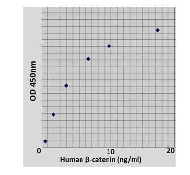 Human Beta catenin ELISA Kit(AB285328)