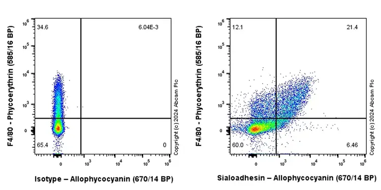 APC Rabbit IgG, monoclonal [EPR25A] - Isotype Control(AB232814)