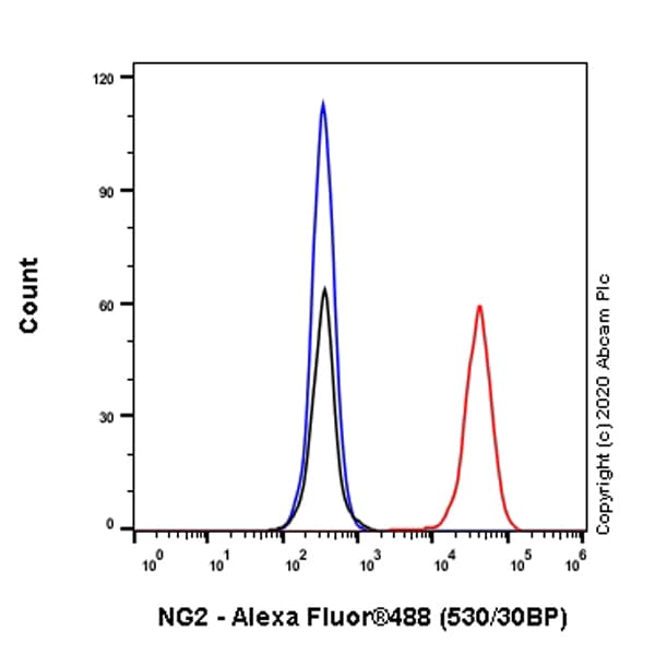 Anti-NG2 antibody [EPR23976-145] - BSA and Azide free(AB275038)
