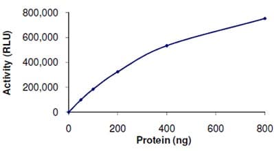 Recombinant human SIRT6 protein(AB104030)