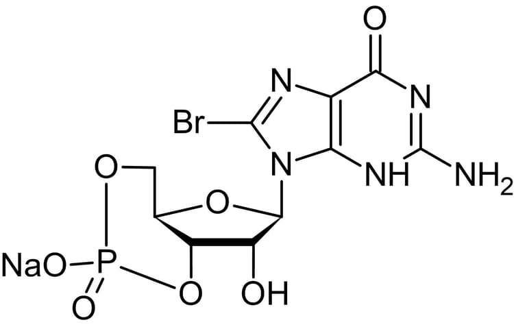 8 Br Cgmp 8 Bromo Cgmp Pkg Activator Ab141449  Chemical Structure Img168890