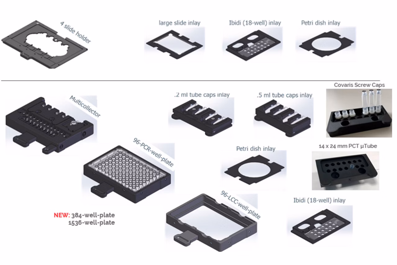 LMD Software Accessories Kid21766585