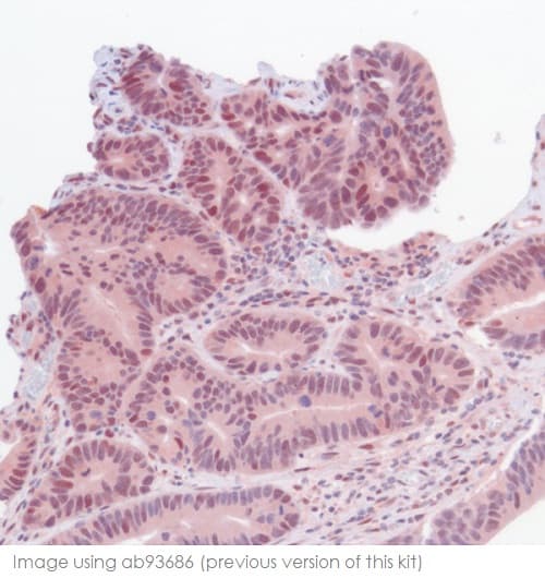 Mouse and Rabbit Specific HRP/AEC IHC Detection Kit - Micro-polymer(AB236467)