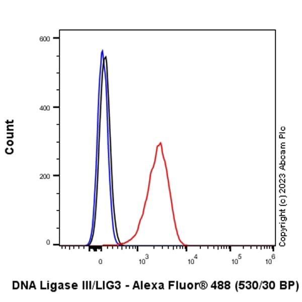 Anti-DNA Ligase III/LIG3 antibody [EPR27265-44](AB313374)