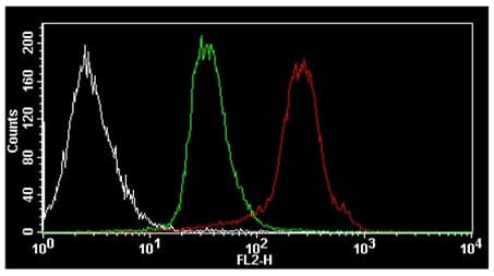 Protein Synthesis Assay Kit (Red)(AB235634)