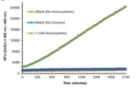 Recombinant L-methionine gamma-lyase Active protein (mutated F47L + D172E + S308Y)(ab286034)