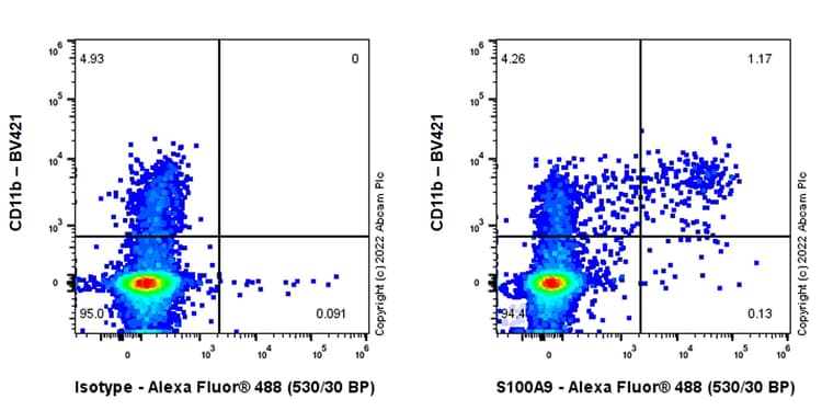 Alexa Fluor® 488 Anti-S100A9 antibody [EPR22332-75](AB307395)