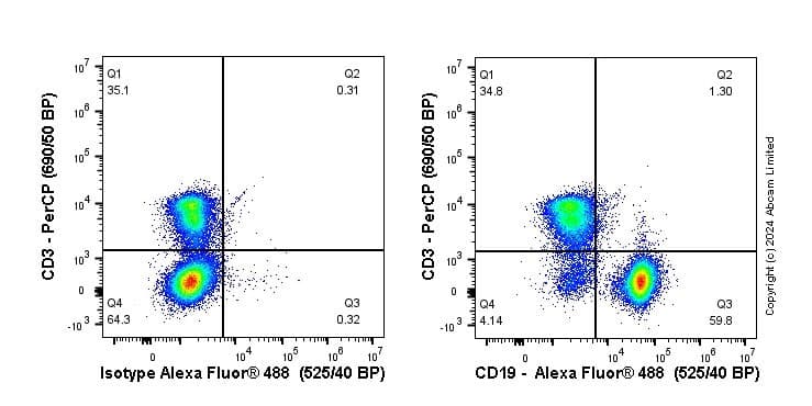 Anti-CD19 antibody [EPR23174-145](AB245235)