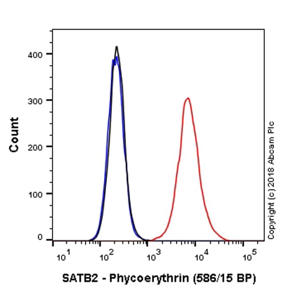 PE Anti-SATB2 antibody [EPNCIR130A](AB225052)