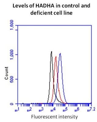 Fatty Acid Oxidation Assay Kit (flow cytometry)(AB118183)