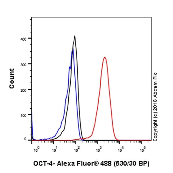 Anti-Oct4 antibody [EPR17929] - ChIP Grade - BSA and Azide free(AB271937)