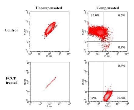 JC-10 Mitochondrial Membrane Potential Assay Kit (Flow Cytometry)(AB112133)