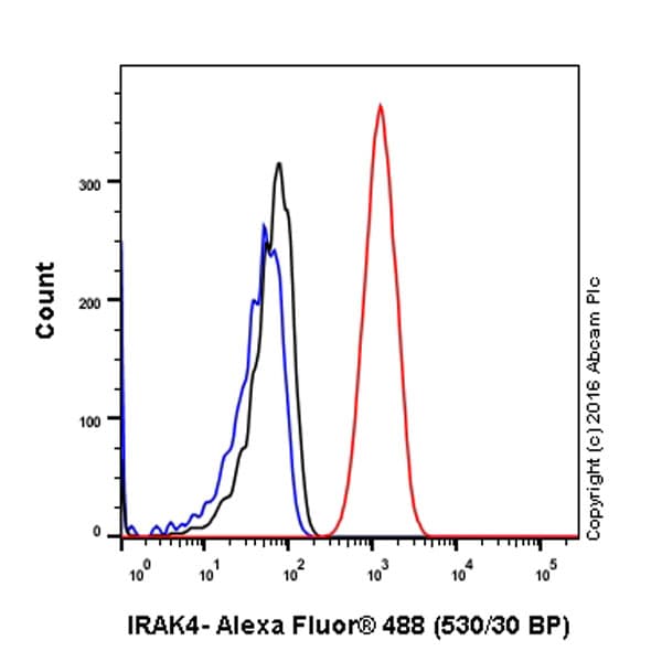 Anti-IRAK4 antibody [Y279](AB32511)