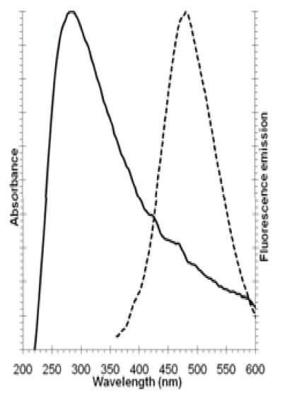 Golgi/ER Staining Kit - Cytopainter(AB139485)