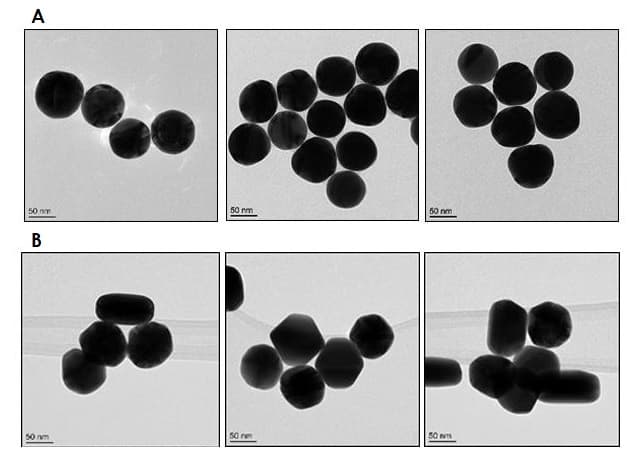 80nm Gold Nanoparticles (10 OD)(AB269940)