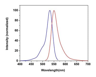 Cellular Membrane Potential Assay Kit (Fluorometric - Orange)(AB176764)