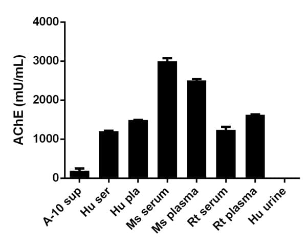Acetylcholinesterase Assay Kit (Colorimetric)(AB138871)