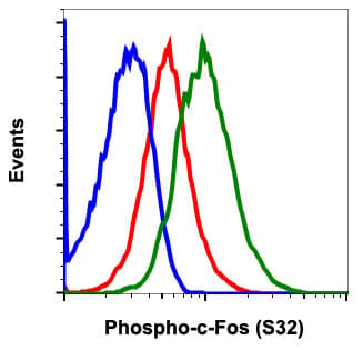 C Fos Phospho S32 Antibody Cfoss32 Ba9 Ab278642  Flow Cytometry Img77602