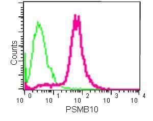 Anti-PSMB10/MECL1 antibody [EPR14902] - BSA and Azide free(AB240272)