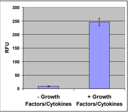 Hematopoietic Colony Forming Cell Assay Kit(AB242288)