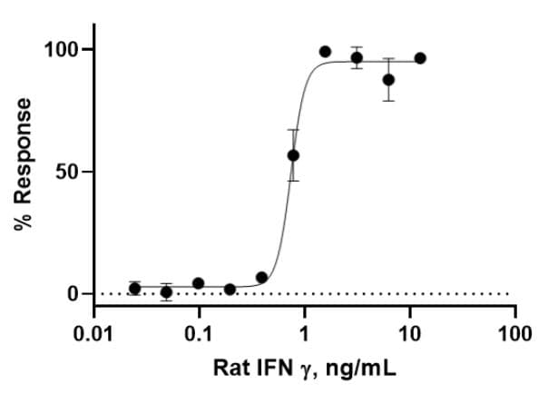 Recombinant rat Interferon gamma protein (Active)(AB280340)