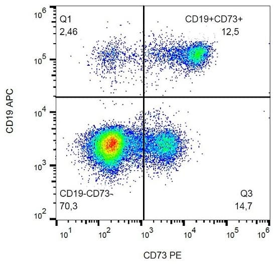 Pe Cd73 Antibody Ad2 Ab157335  Flow Cytometry Img89912