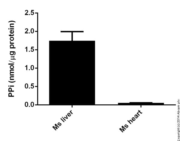 Pyrophosphate Assay Kit (Fluorometric)(AB112155)