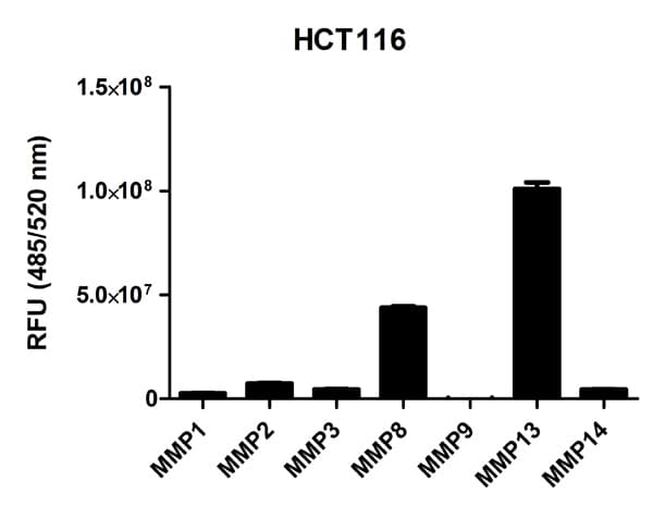 MMP Activity Assay Kit (Fluorometric - Green)(AB112146)