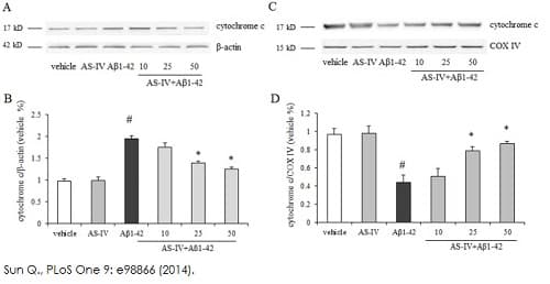 Cytochrome c Release Assay Kit(ab65311)