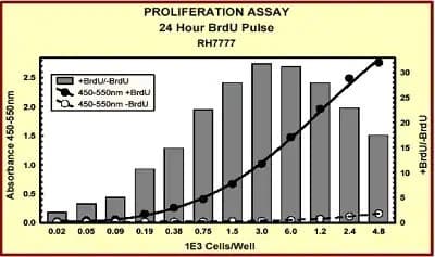 BrdU Cell Proliferation ELISA Kit (colorimetric)(AB126556)