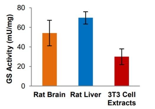 Glutamine Synthetase Activity Assay Kit (Colorimetric)(AB284572)