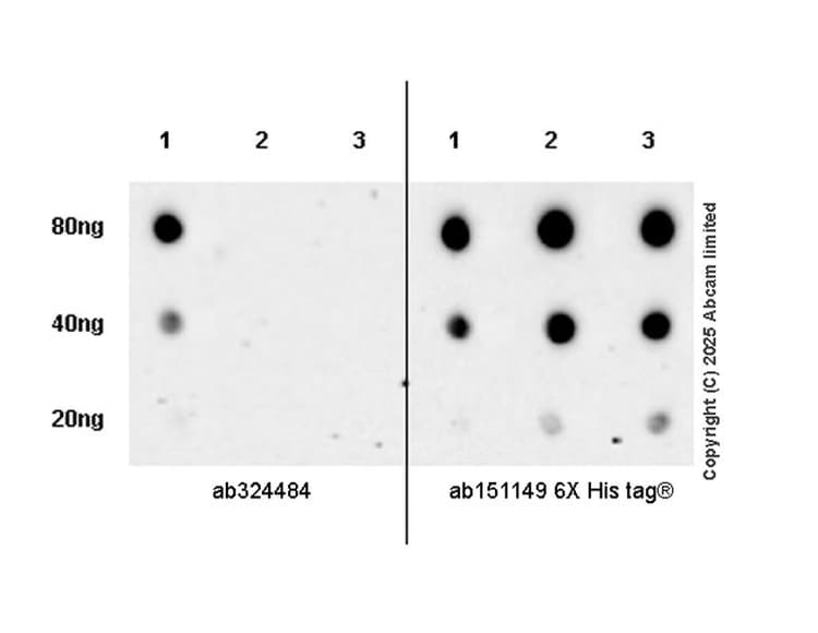Anti-6X His tag® antibody [AD1.1.10](AB15149)