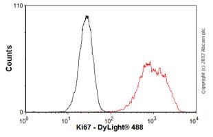 Anti-Ki67 antibody [EPR3610](AB92742)