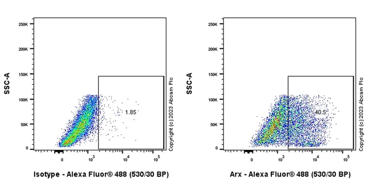 Arx Antibody Epr27481 32 Ab308260  Flow Cytometry Intracellular Img408874