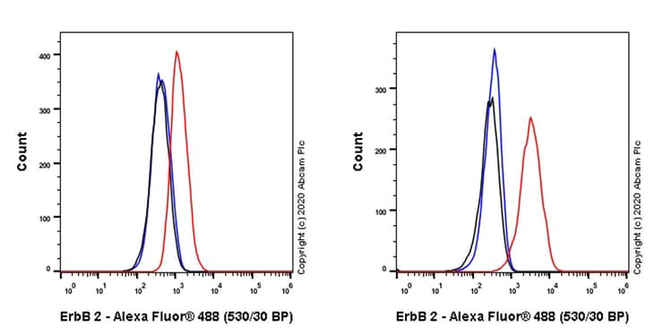 Anti-ErbB2 / HER2 antibody [ICR12](AB11710)
