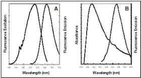 ER Staining Kit - Red Fluorescence - Cytopainter(AB139482)