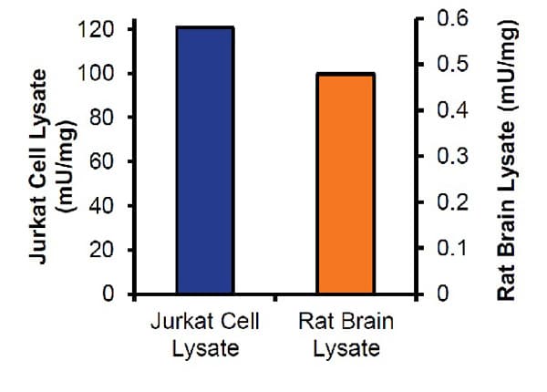 Adenosine Deaminase (ADA) Activity Assay Kit (Fluorometric)(AB204695)