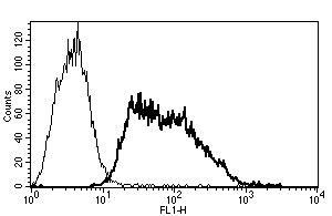 Cd62e Antibody B P7 Bsa And Azide Free Ab47075  Flow Cytometry Img415382