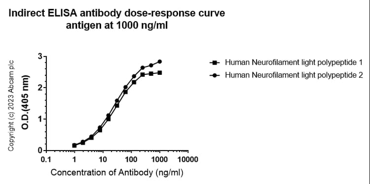 68kda Neurofilament Nf L C Term Antibody Epr28784 63 Bsa And Azide Free Ab315815  Indirect Elisa Img425532