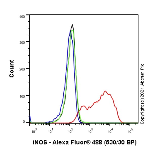 Anti-iNOS antibody [RM1017](AB283655)