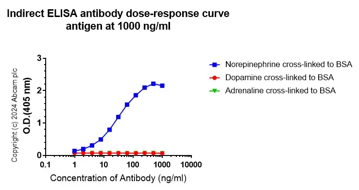 Anti-Noradrenaline antibody [EPR24435-114](AB315969)