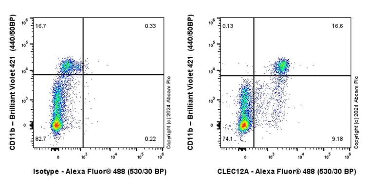 Alexa Fluor® 488 Rabbit IgG, monoclonal [EPR25A] - Isotype Control(AB199091)