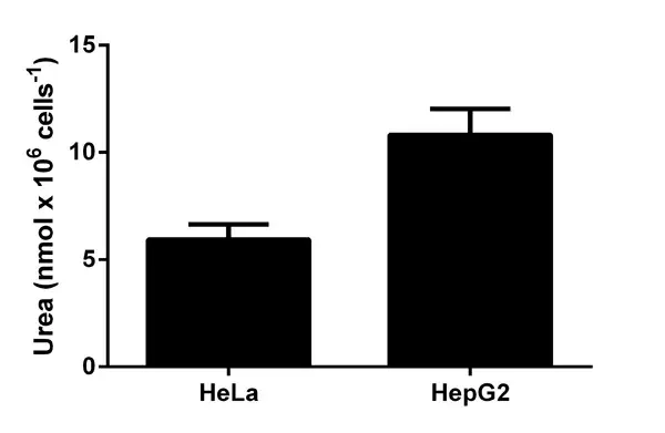 Urea Assay Kit(AB83362)