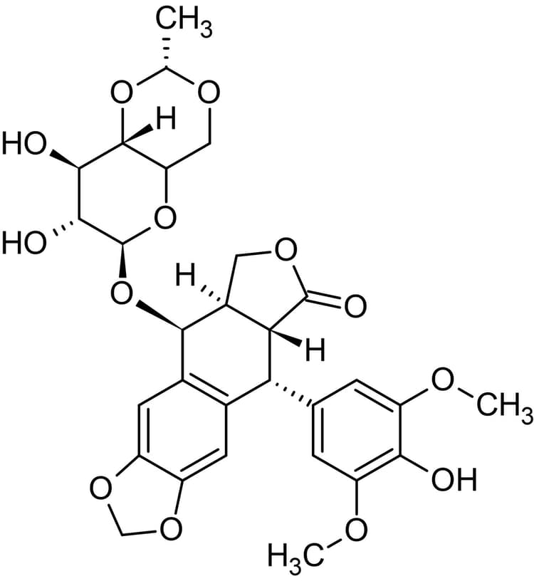Etoposide, Topoisomerase II inhibitor(AB120227)
