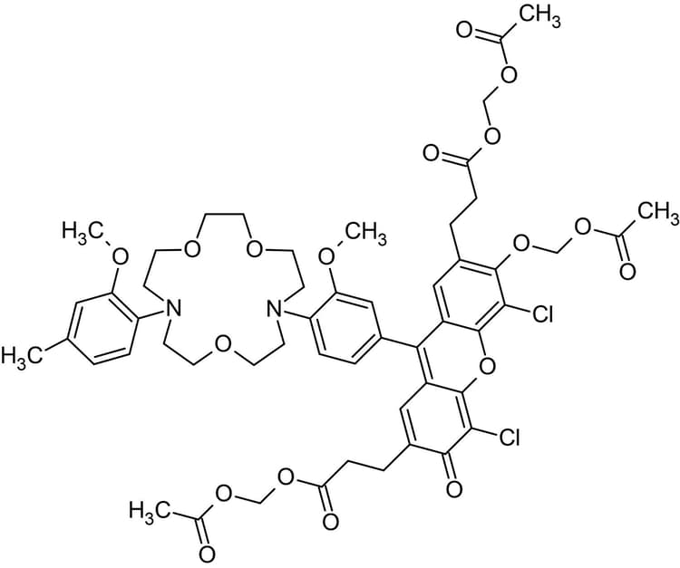 ION NaTRIUM Green™-2 AM, cytosolic Na+ indicator(AB142802)