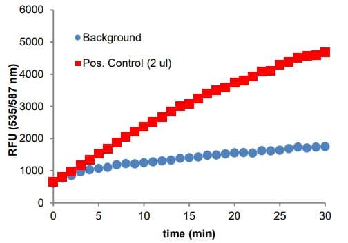 Acyl-CoA Synthetase Assay Kit (Fluorometric)(AB273315)