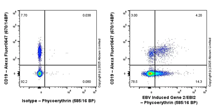 PE Rabbit IgG, monoclonal [EPR25A] - Isotype Control(AB209478)